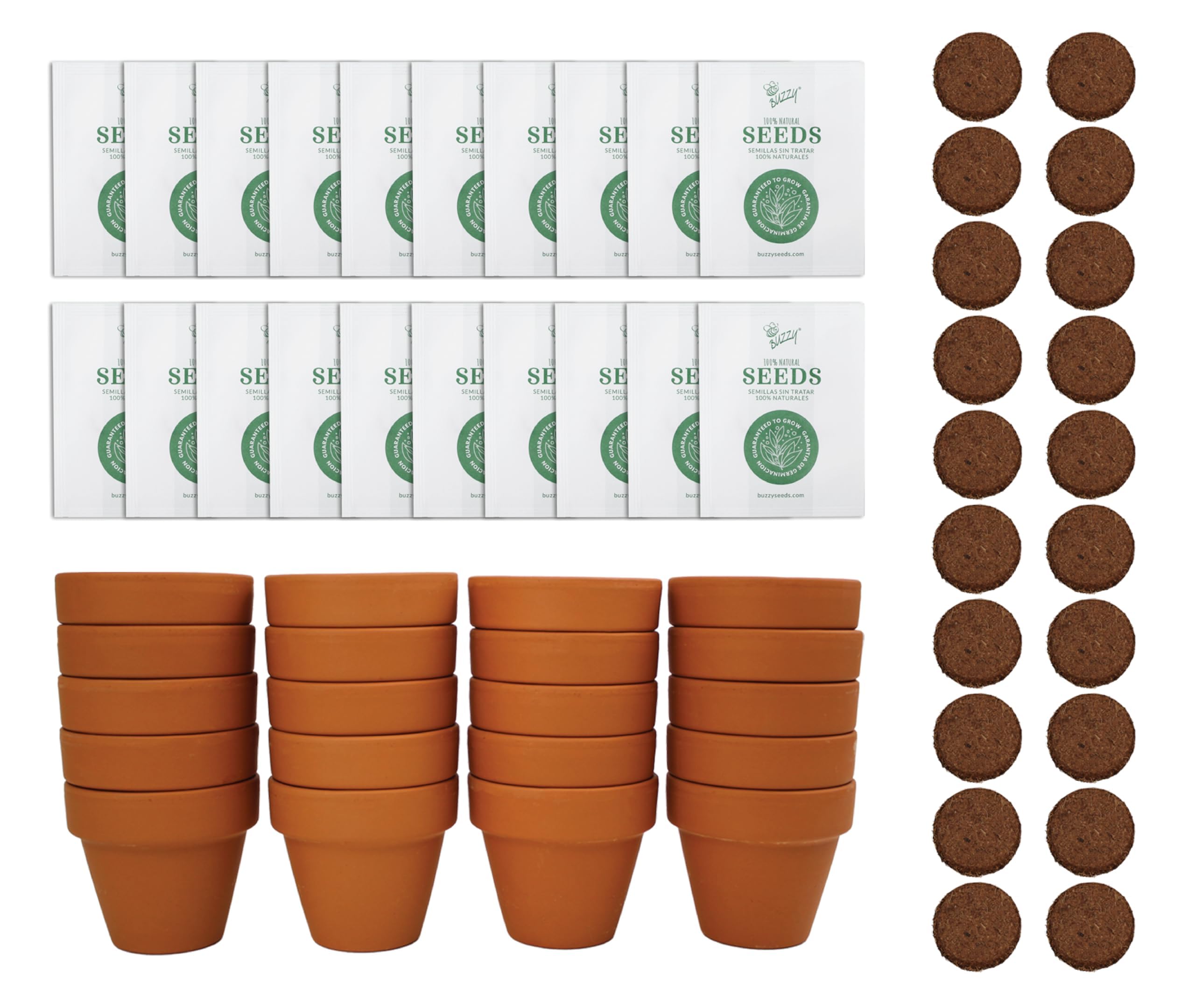 BUZZY paquete frontal de 20 kits girasol, ideal para regalos
