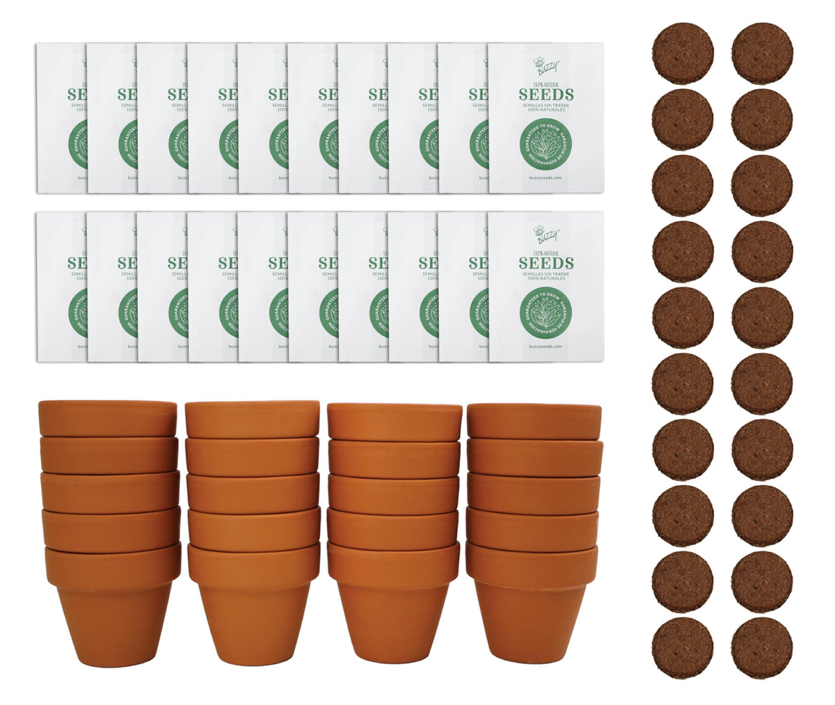 BUZZY paquete frontal de 20 kits girasol, ideal para regalos