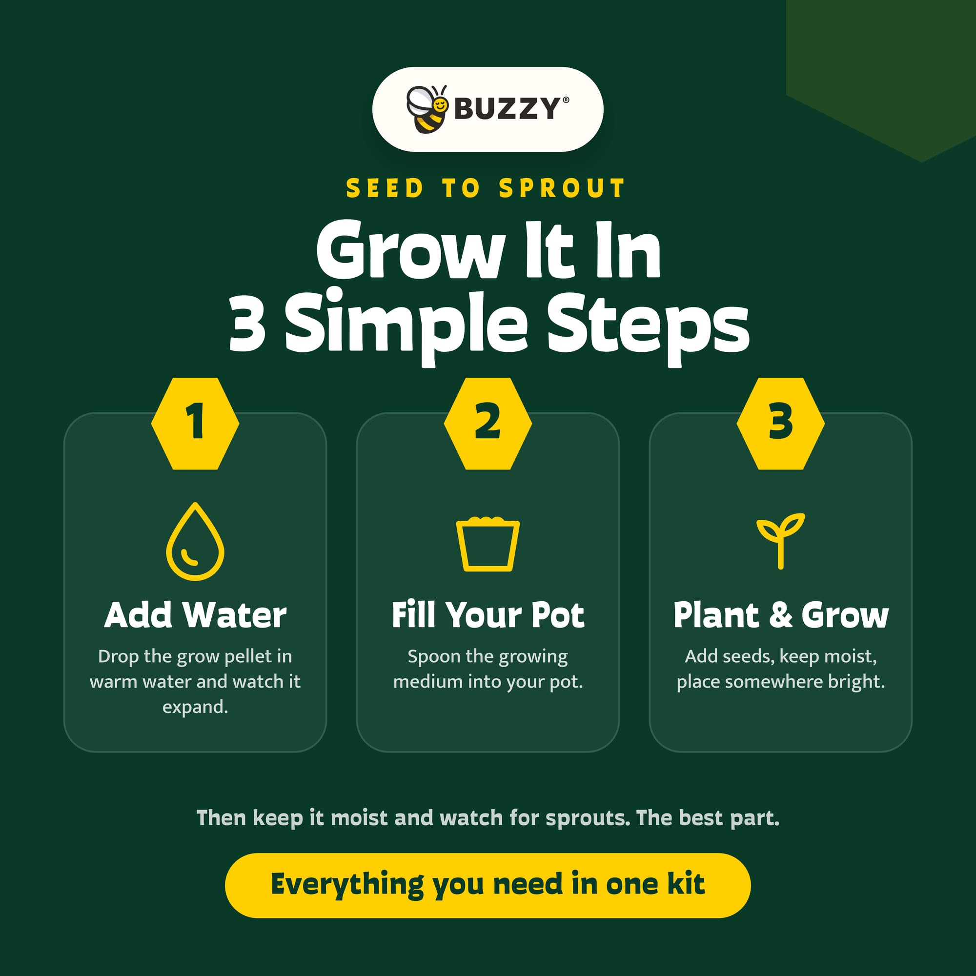 BUZZY kit montado sobre mesa para manualidades y actividades grupales