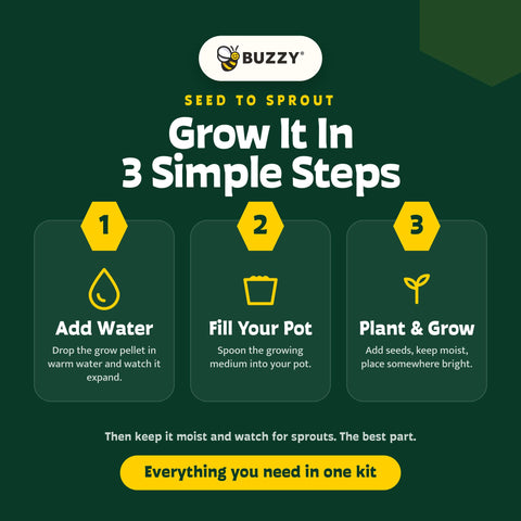 BUZZY kit montado sobre mesa para manualidades y actividades grupales