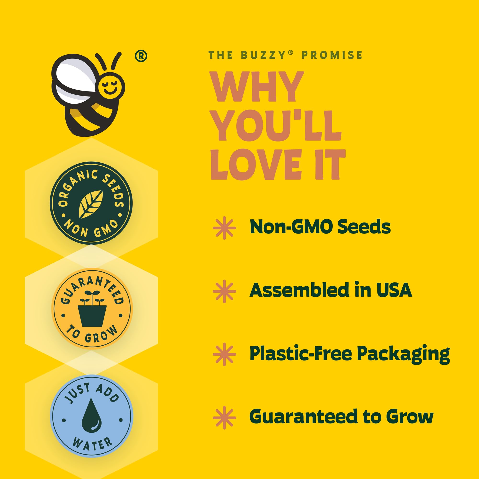 BUZZY semillas de girasol Non-GMO en primer plano para siembra segura