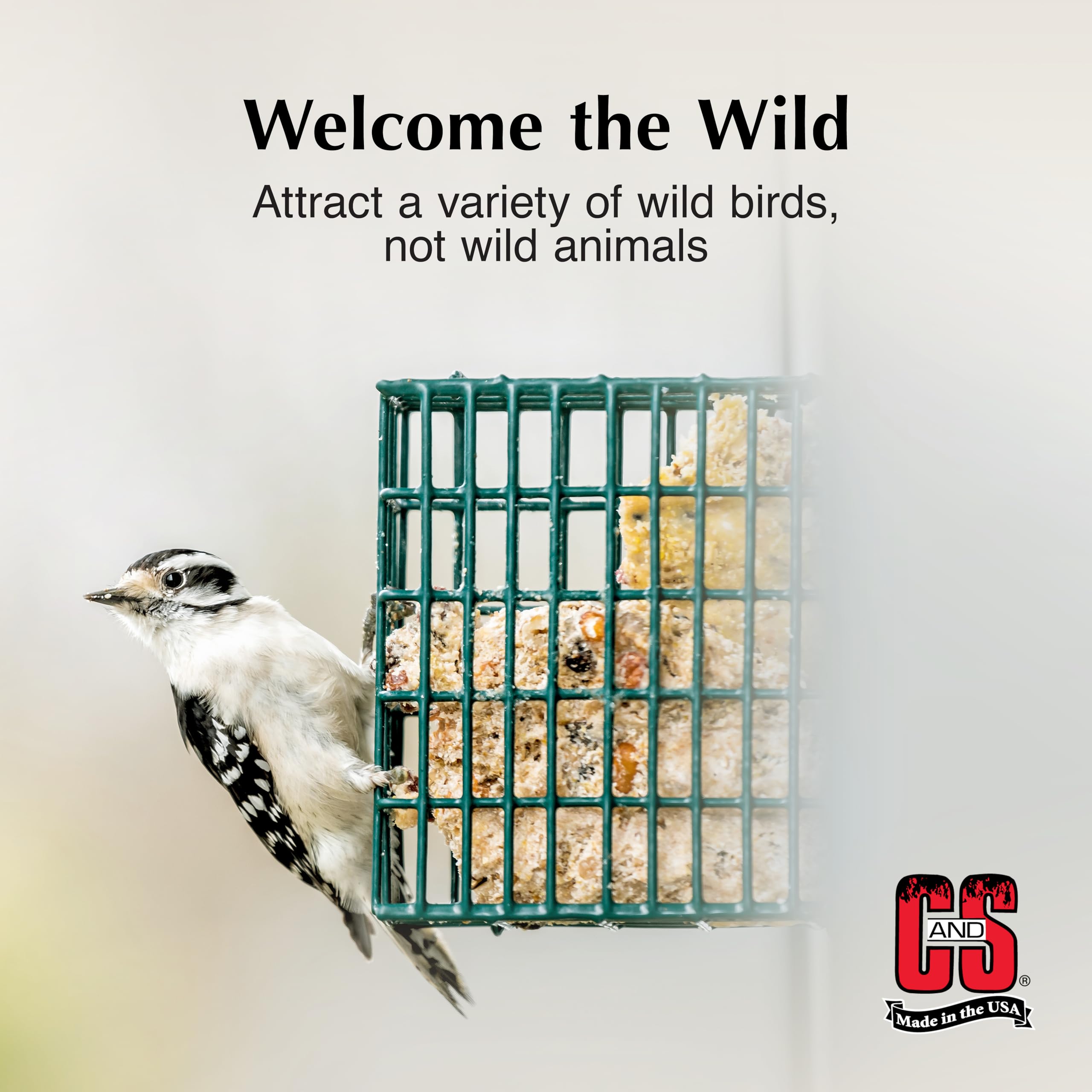 C&S suet insertada en comedero de alambre atractiva para aves