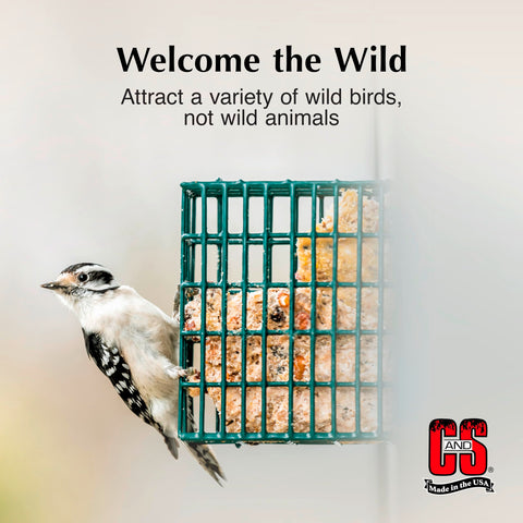 C&S suet insertada en comedero de alambre atractiva para aves