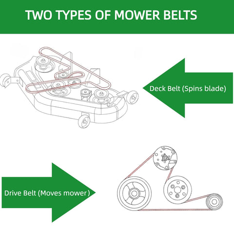 C-YONG extremos reforzados de la correa para mayor resistencia