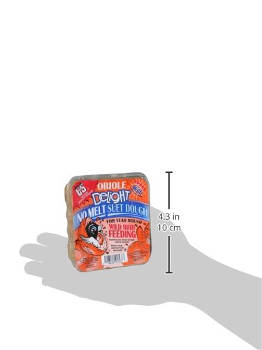 Comedero en jardín con ave alimentándose de C&S Oriole Delight, observación cómoda