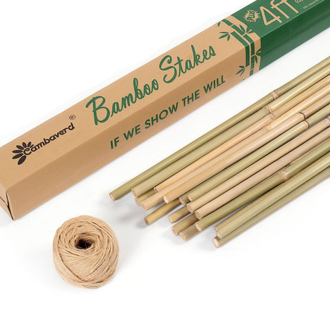 Cambaverd estacas frontal mostrando paquete y cantidad, soporte robusto