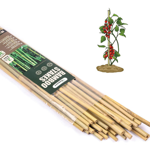 Cambaverd palos de bambú pack frontal mostrando 30 unidades, apoyo resistente