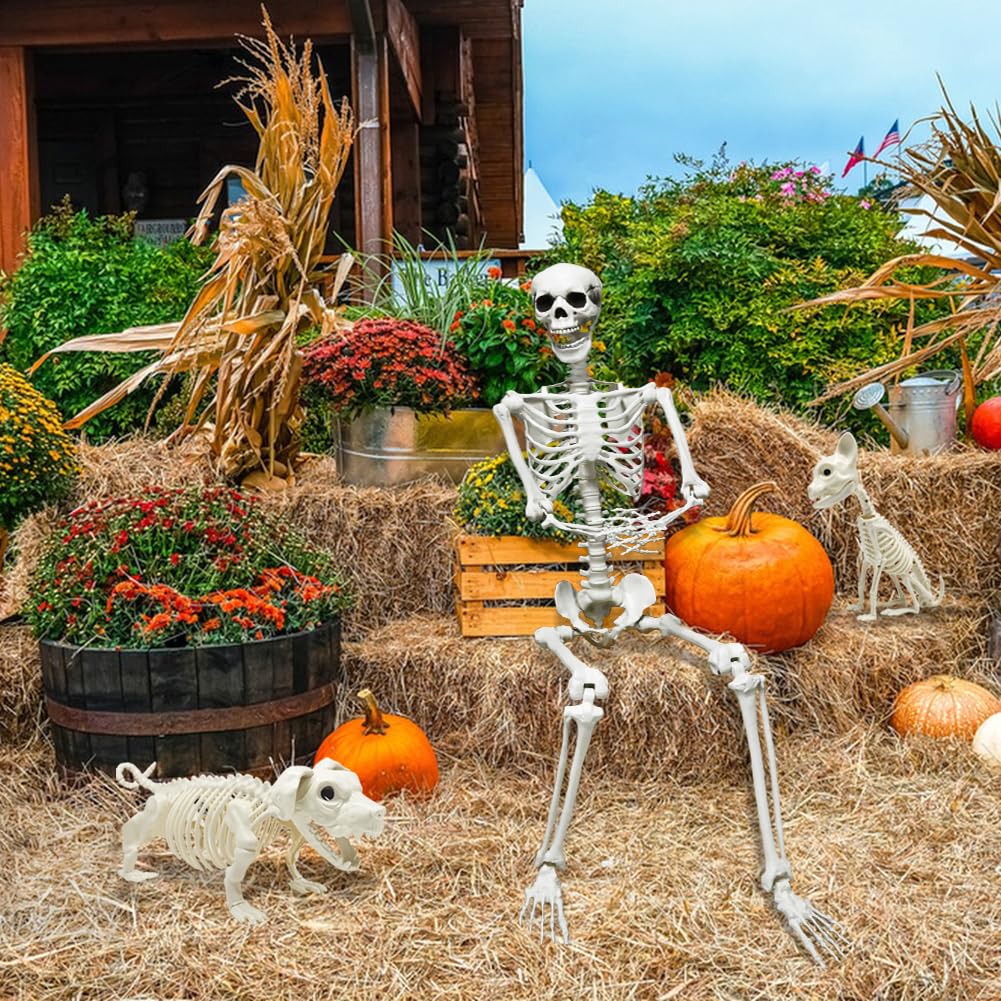 CAMIRUS esqueleto en porche ambientado para decoración de Halloween vistosa