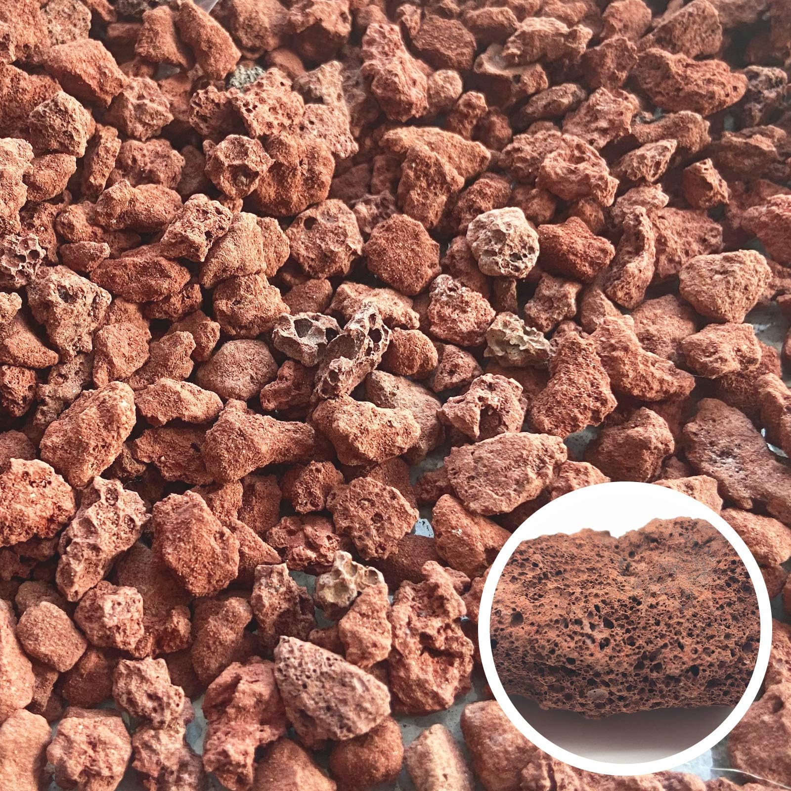 CARURBODY piedras en maceta de suculentas mejorando drenaje estético