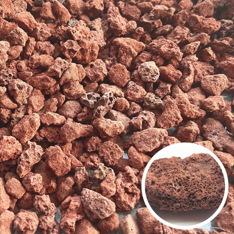CARURBODY piedras en maceta de suculentas mejorando drenaje estético