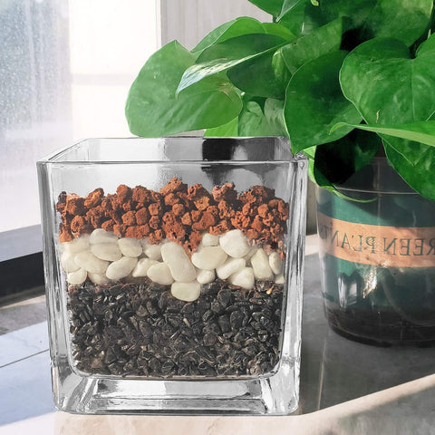 CARURBODY top dressing en bonsái que mantiene superficie limpia