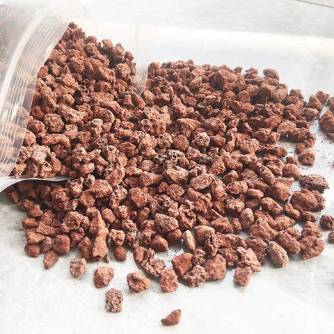 CARURBODY piedras como capa superior en suculentas con acabado limpio