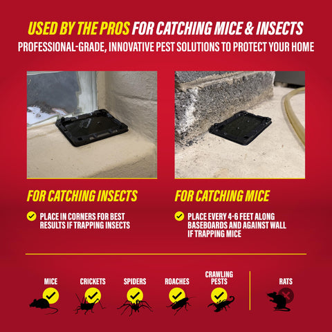 Catchmaster trampa junto a mano para comparar tamaño y facilidad
