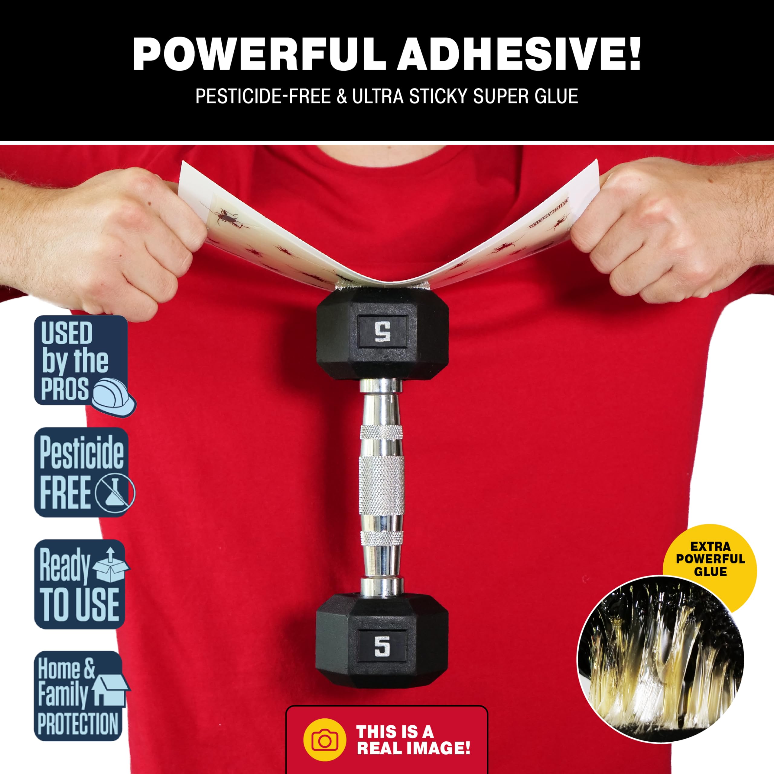 Catchmaster primer plano del adhesivo pegajoso que atrapa grillos sin químicos