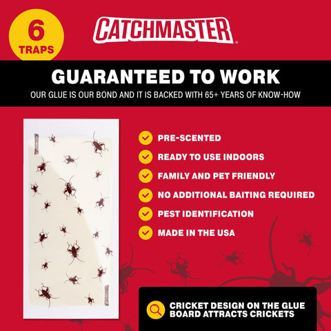 Catchmaster trampa en sótano ocultando insectos y protegiendo el hogar