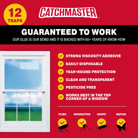 Catchmaster trampa adherida en ventana ilustrando uso discreto y sin olores