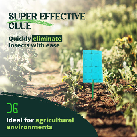 Catchmaster GRO Blue trampa colocada en maceta protegiendo raíces y plantas
