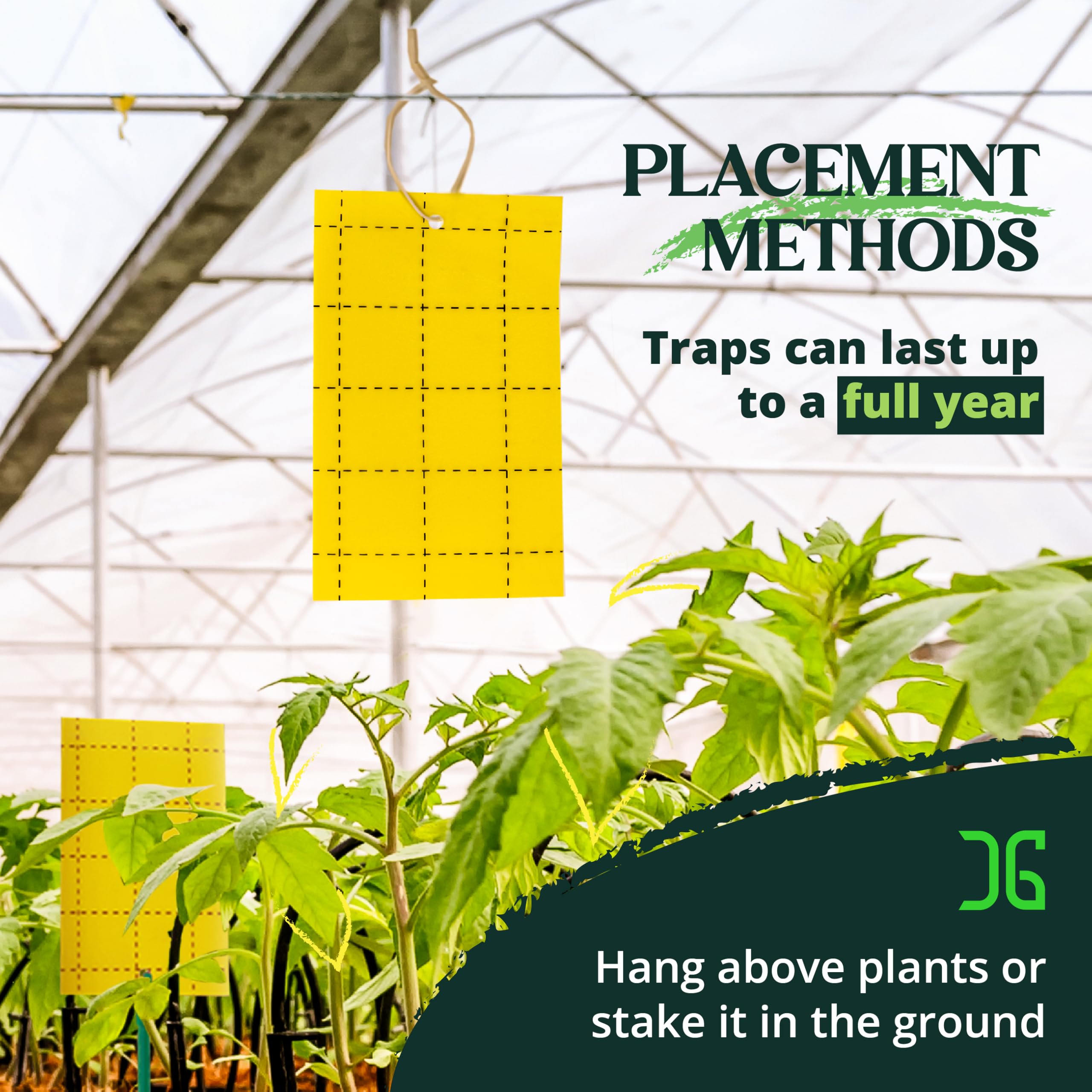 Catchmaster trampas en jardín junto a plantas, control práctico y discreto