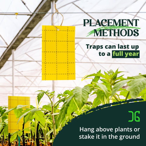 Catchmaster trampas en jardín junto a plantas, control práctico y discreto