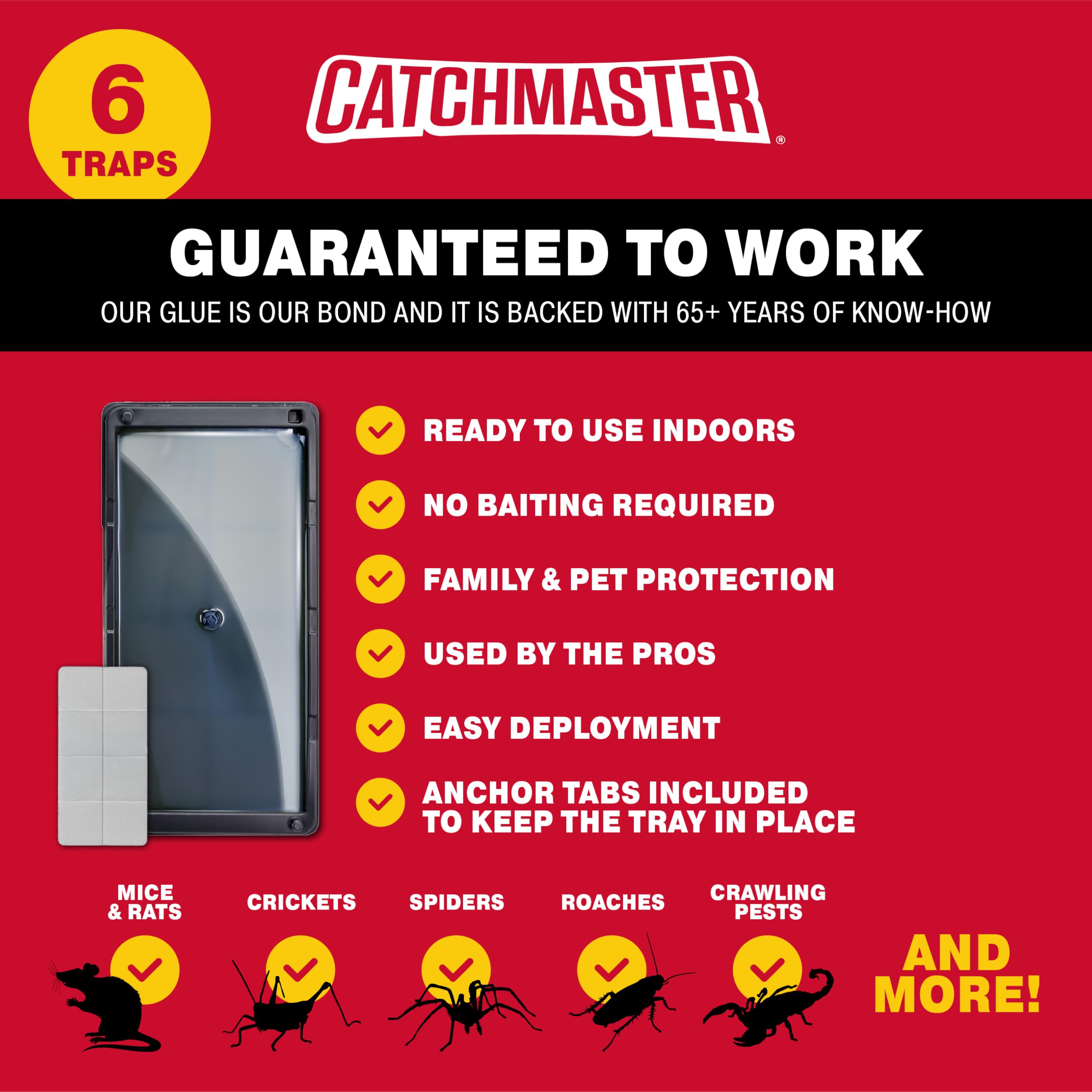 Catchmaster masilla de fijación colocada junto a bandeja para instalación segura