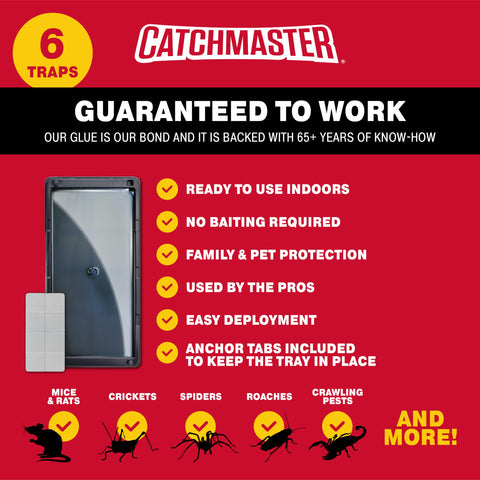 Catchmaster masilla de fijación colocada junto a bandeja para instalación segura