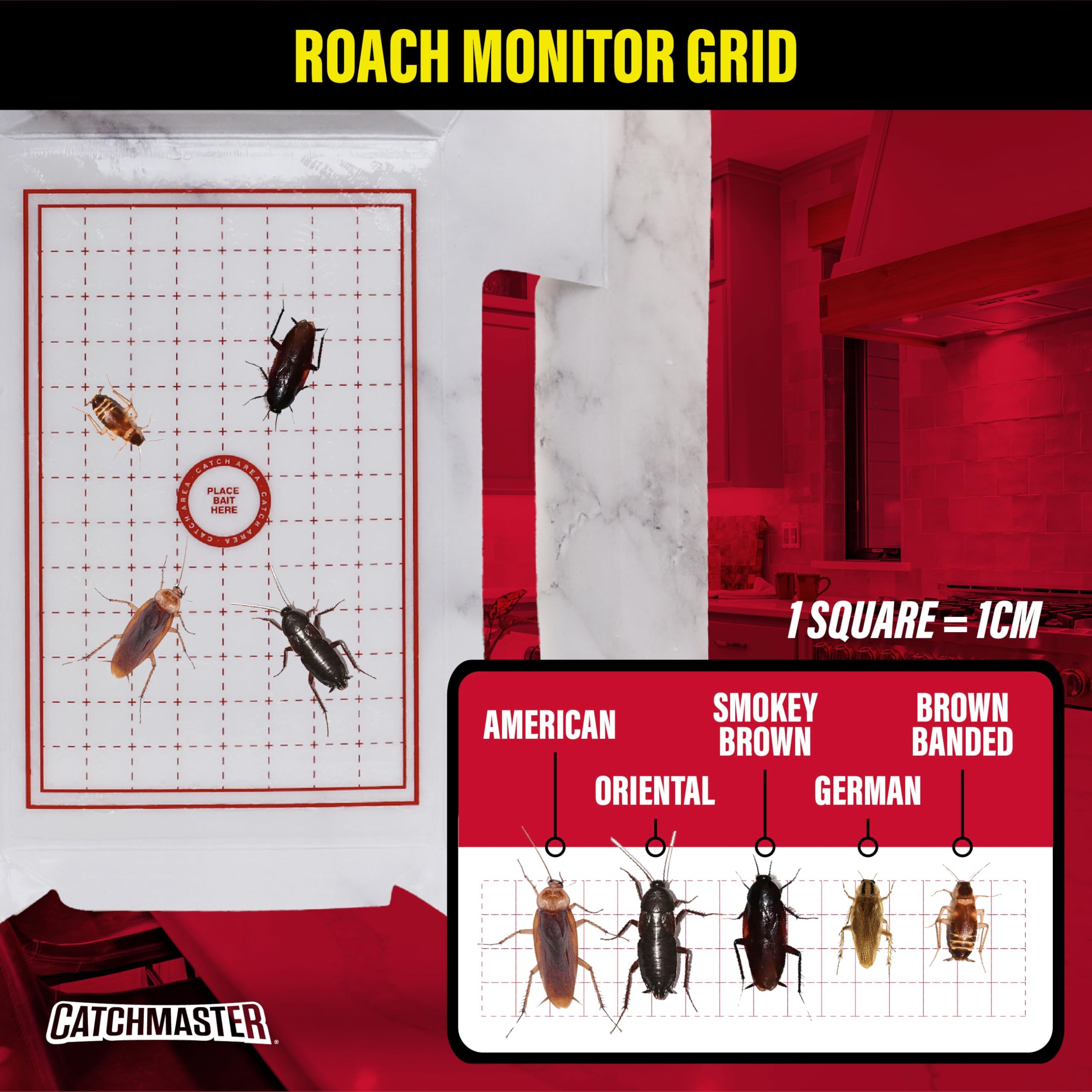Catchmaster trampa situada junto a cañería en baño para protección