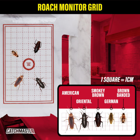 Catchmaster trampa situada junto a cañería en baño para protección