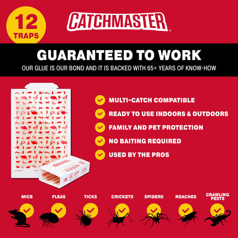 Catchmaster tabla colocada en garaje junto a pared para control sin pesticidas