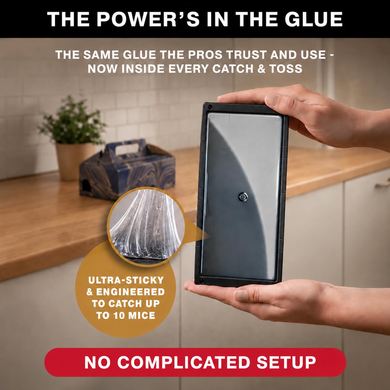 Catchmaster ventanas de inspección para comprobar captura sin tocar
