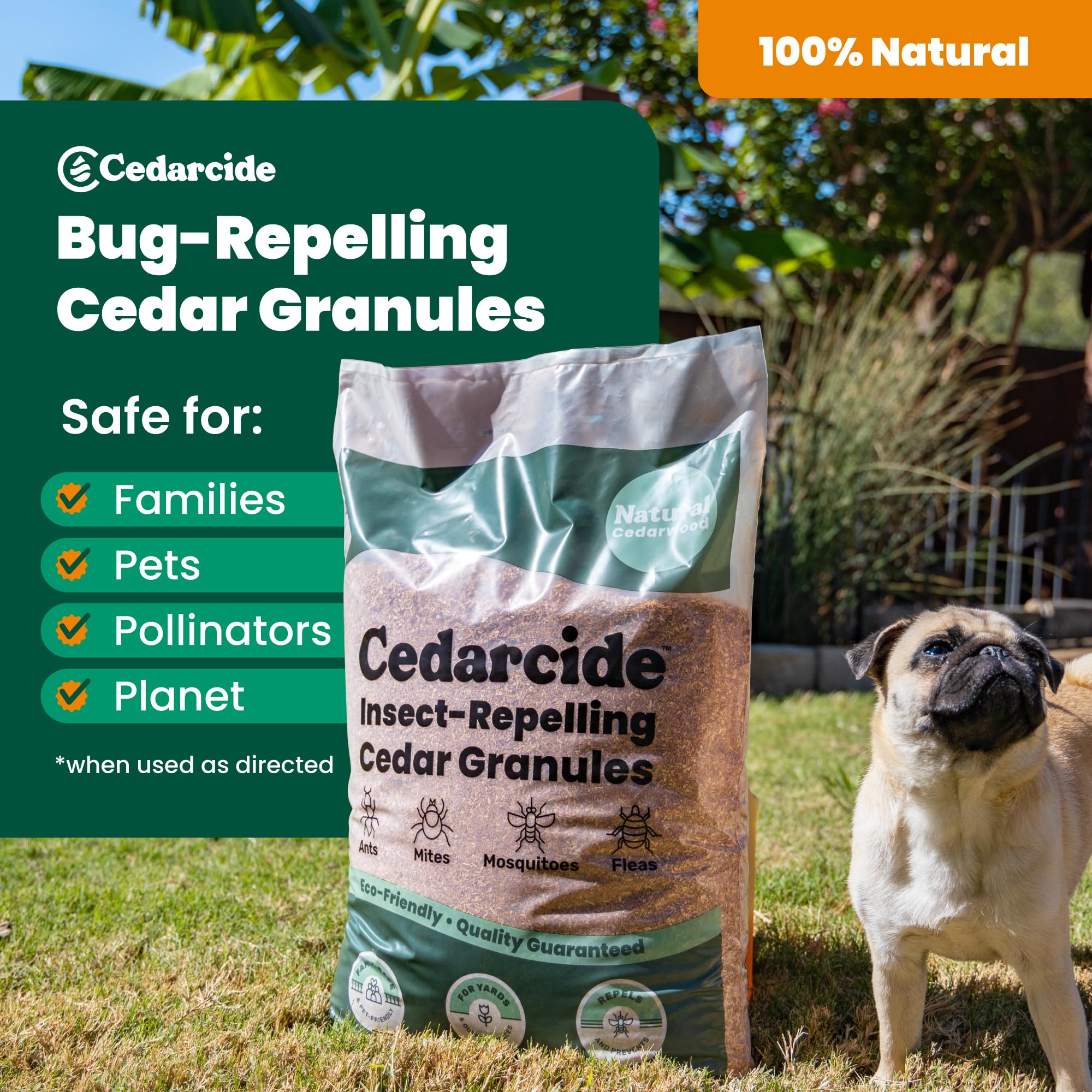Cedarcide alrededor de macetas protegiendo plantas y mascotas