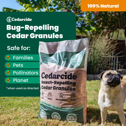 Cedarcide alrededor de macetas protegiendo plantas y mascotas