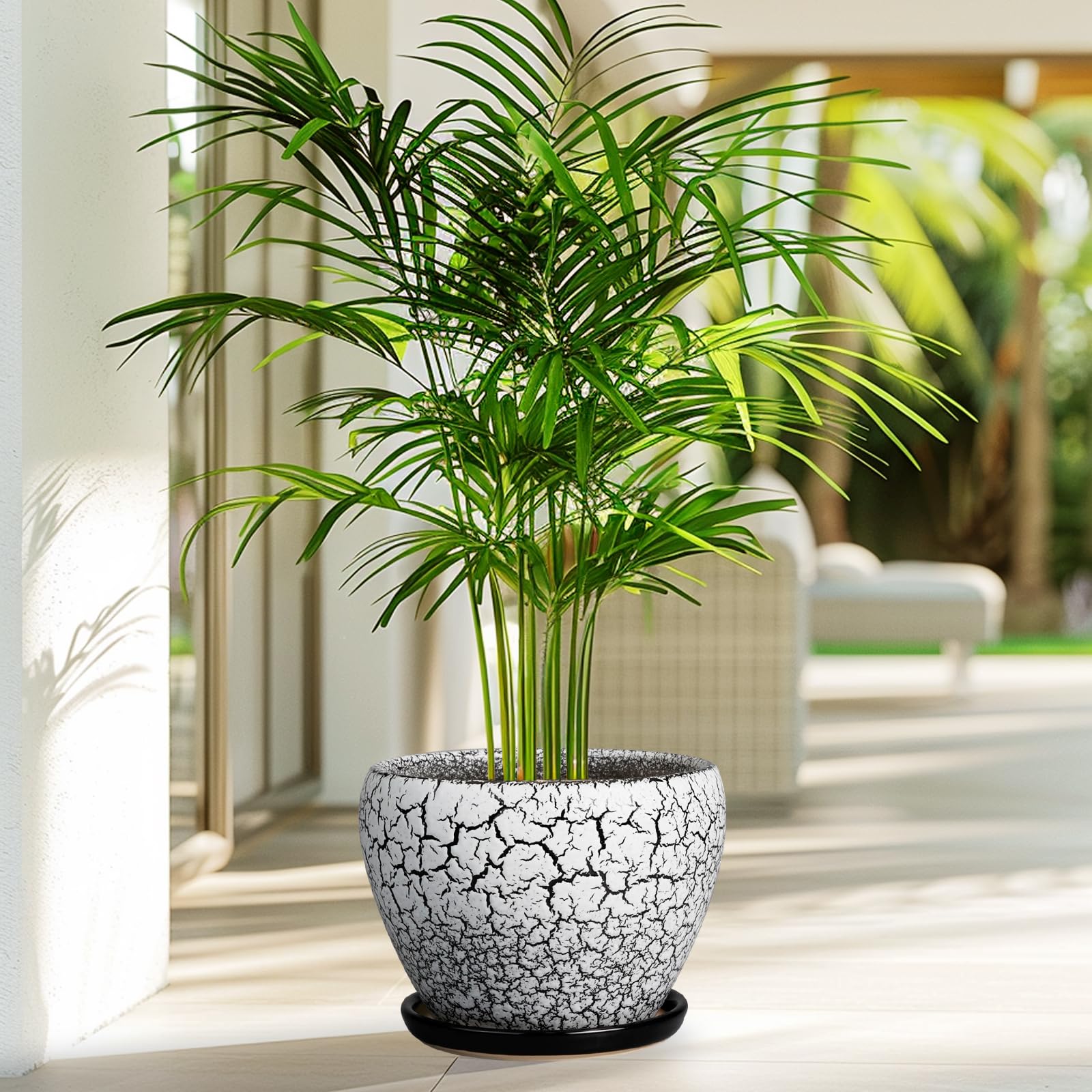 Ceramicfor acabado negro en ambiente moderno aportando contraste decorativo