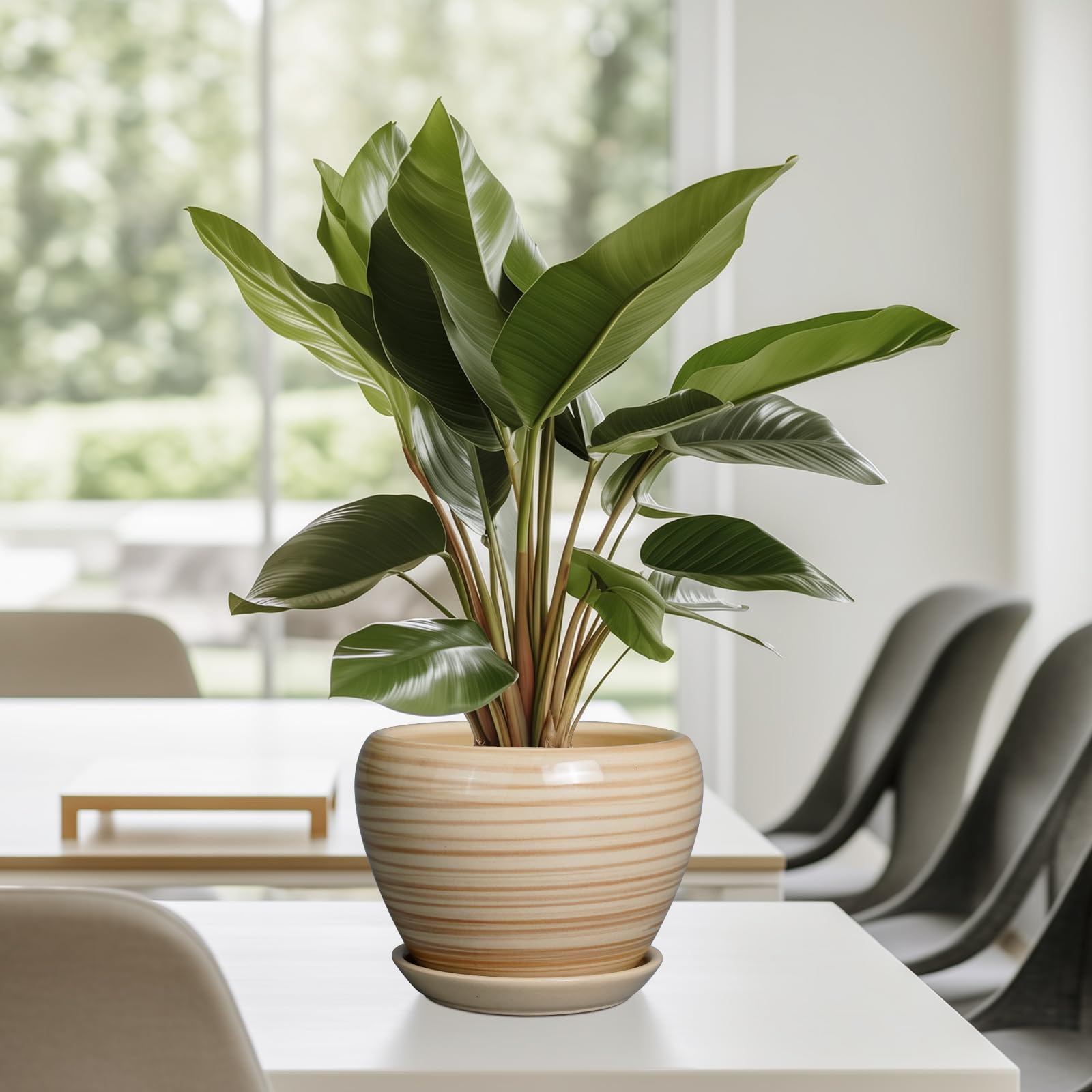 Ceramicfor ambiente en patio, añade color y resistencia decorativa