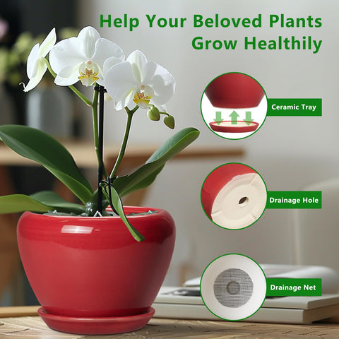 Ceramicfor comparación de tamaño en manos para escala clara