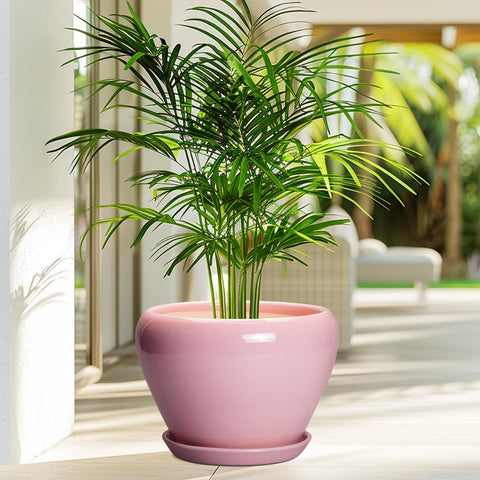Ceramicfor vista del orificio de drenaje para raíces saludables