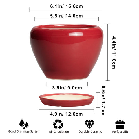 Ceramicfor vista inferior con orificio de drenaje y plato que protege superficies