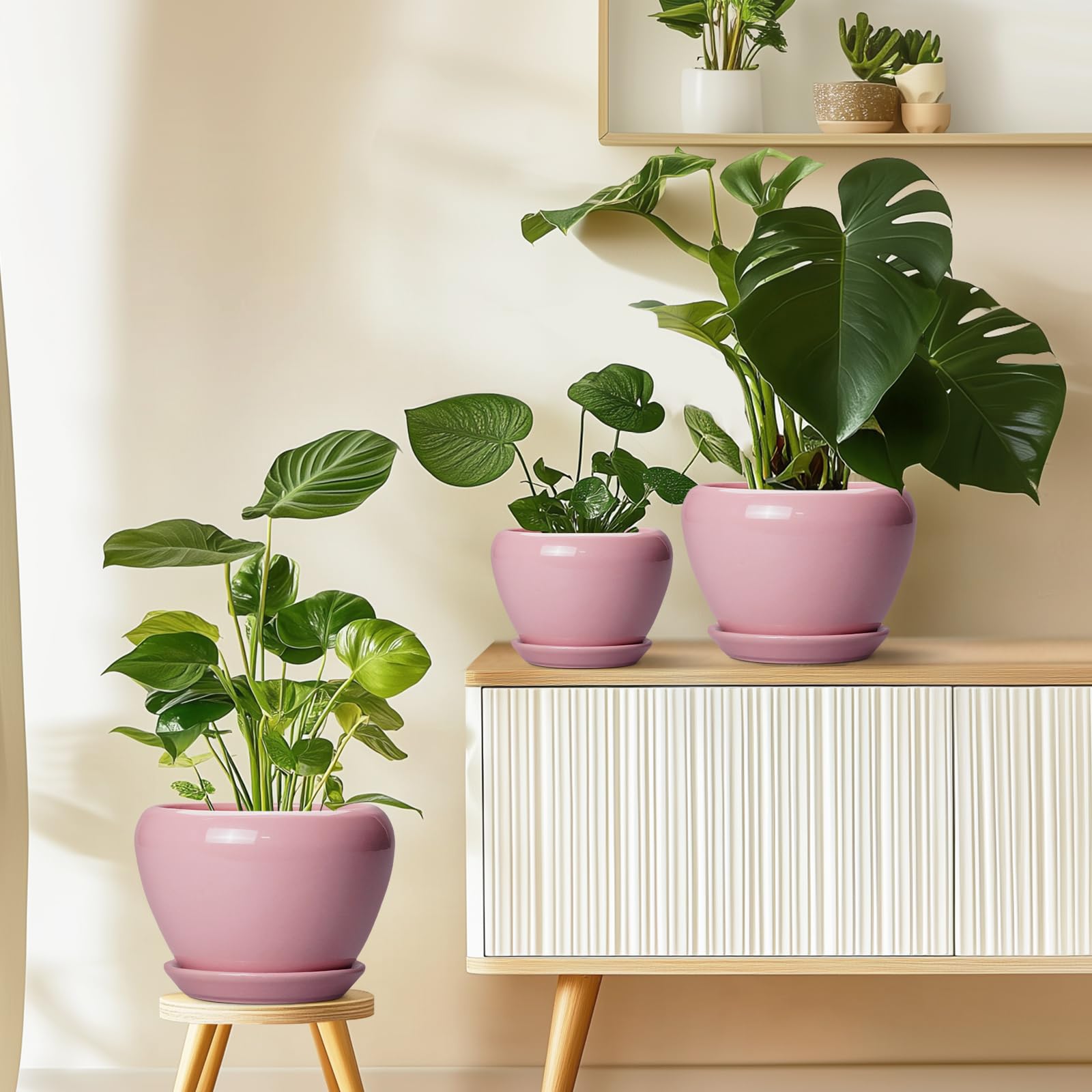 Ceramicfor embalaje y etiqueta reflejando presentación lista para regalo