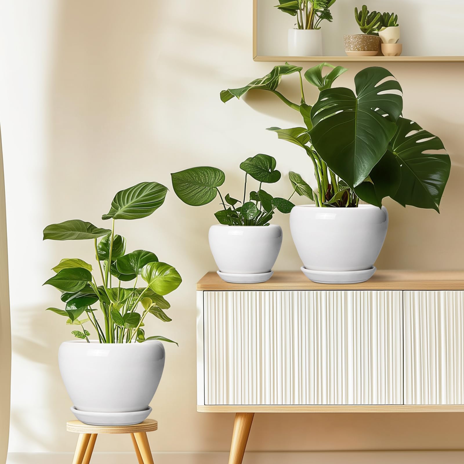 Ceramicfor embalaje para regalo, presentación lista para obsequiar