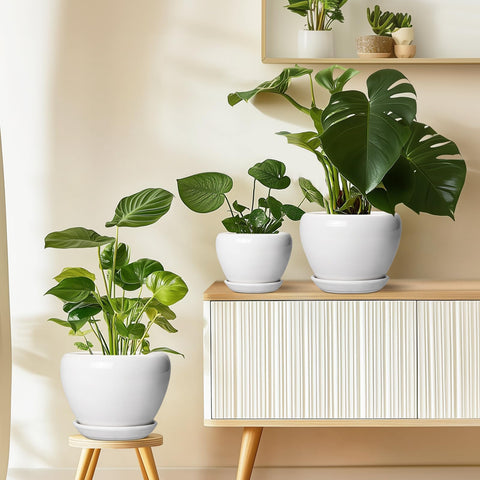 Ceramicfor embalaje para regalo, presentación lista para obsequiar