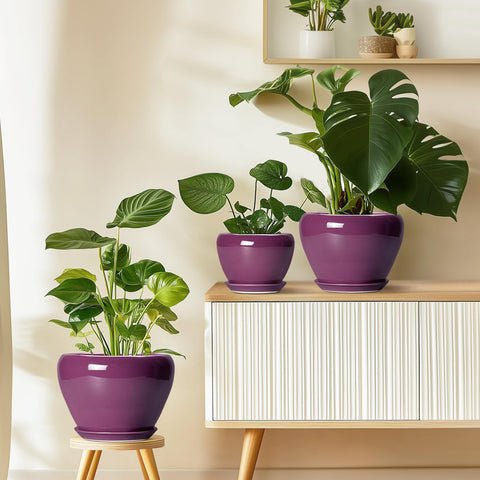 Ceramicfor empaque listo para regalo ideal para amantes de plantas