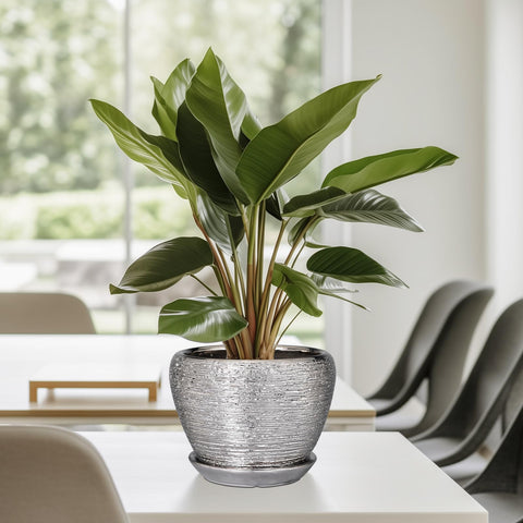 Ceramicfor en salón aporta estilo mid-century y ambiente cuidado
