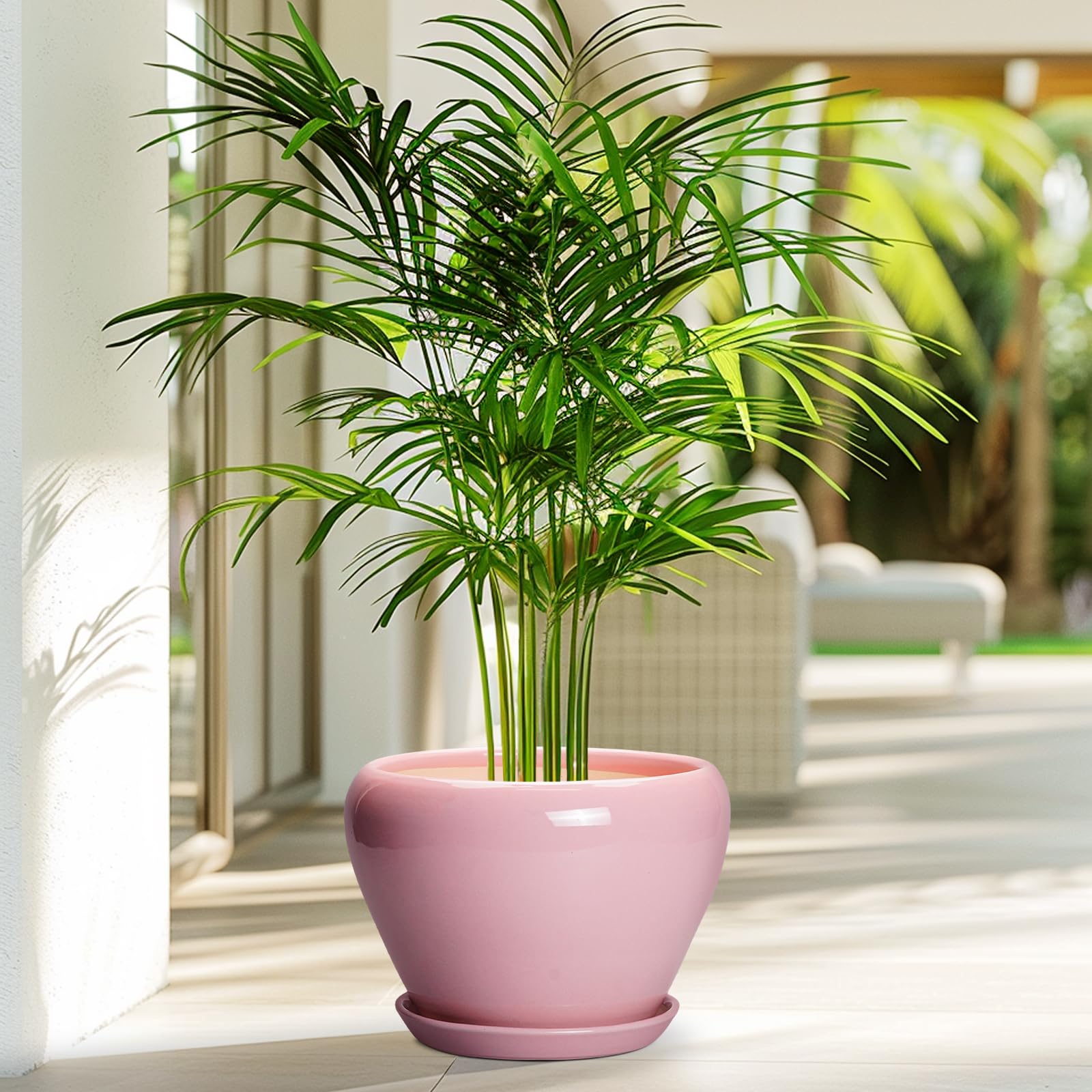 Ceramicfor maceta en uso con suculenta decorando mesa y ahorrando espacio