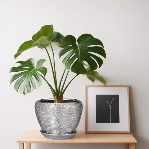 Ceramicfor comparación de tamaño para ver escala con objetos cotidianos