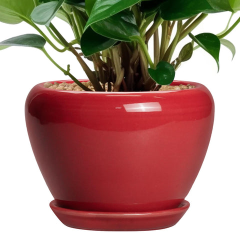 Ceramicfor vista frontal de maceta roja mostrando diseño moderno y acabado elegante