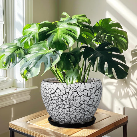 Ceramicfor maceta en ambiente de salón mejorando la decoración interior