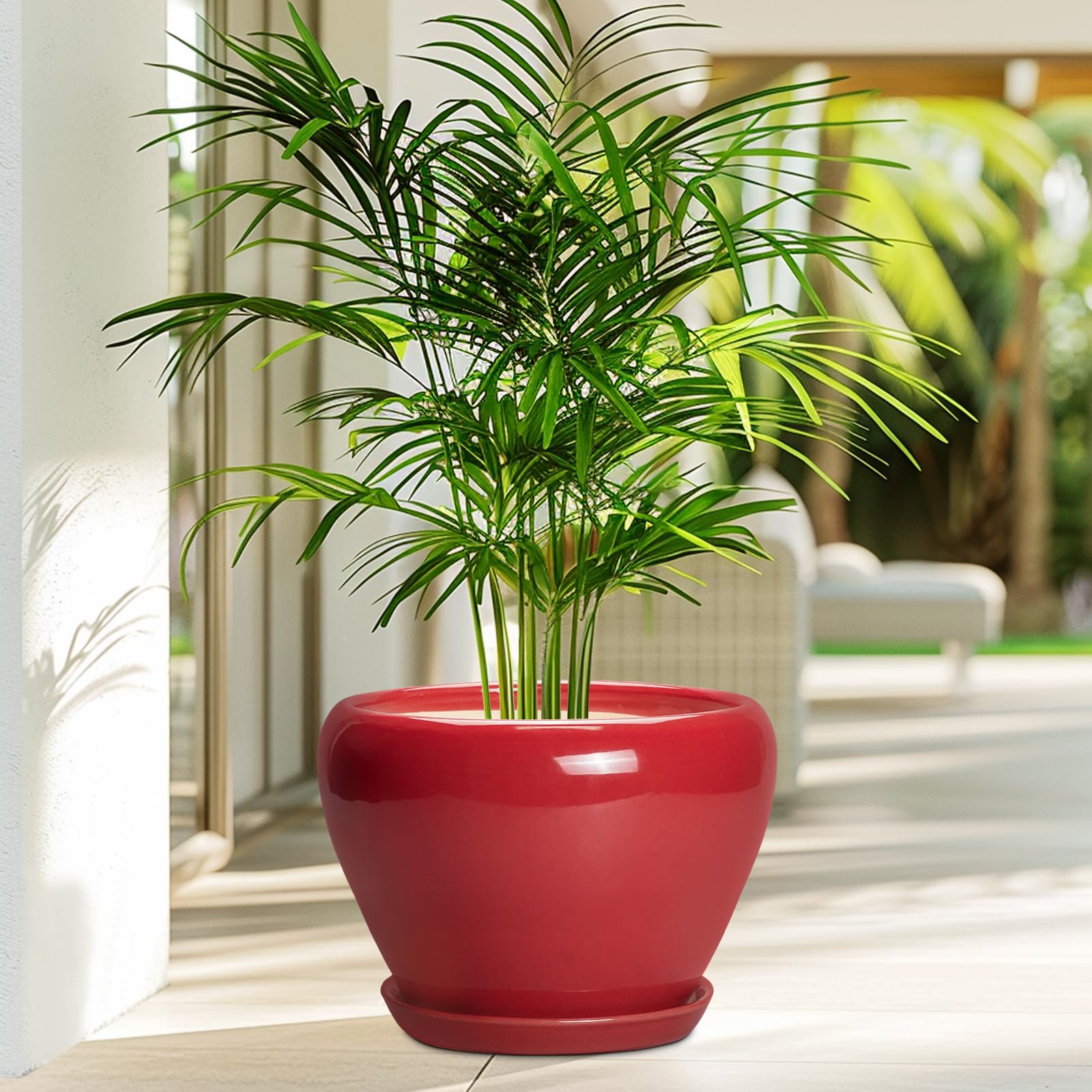 Maceta Ceramicfor con monstera en interior para decoración elegante