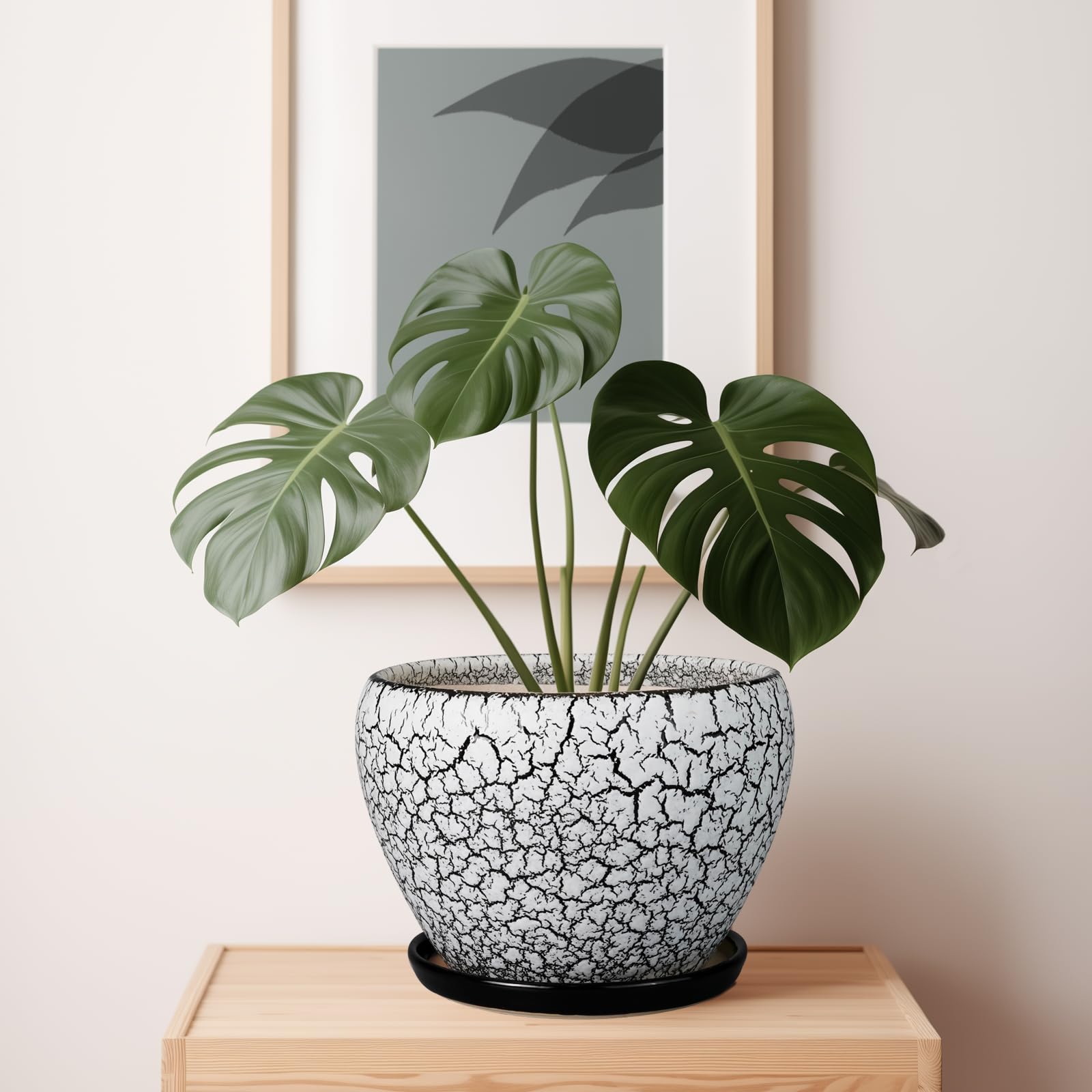 Ceramicfor maceta con monstera demostrando soporte para plantas medianas
