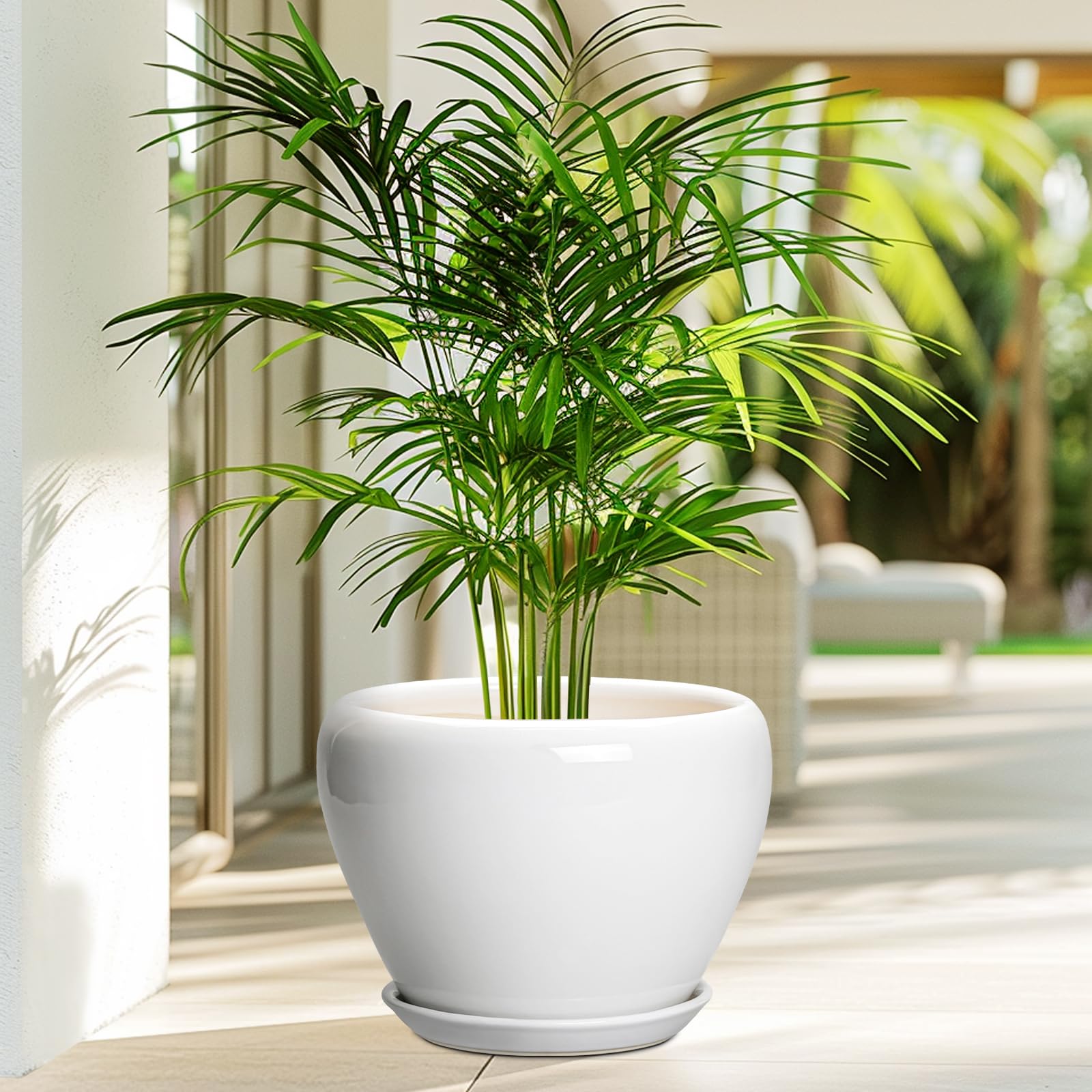 Ceramicfor maceta con planta en salón para decoración armoniosa