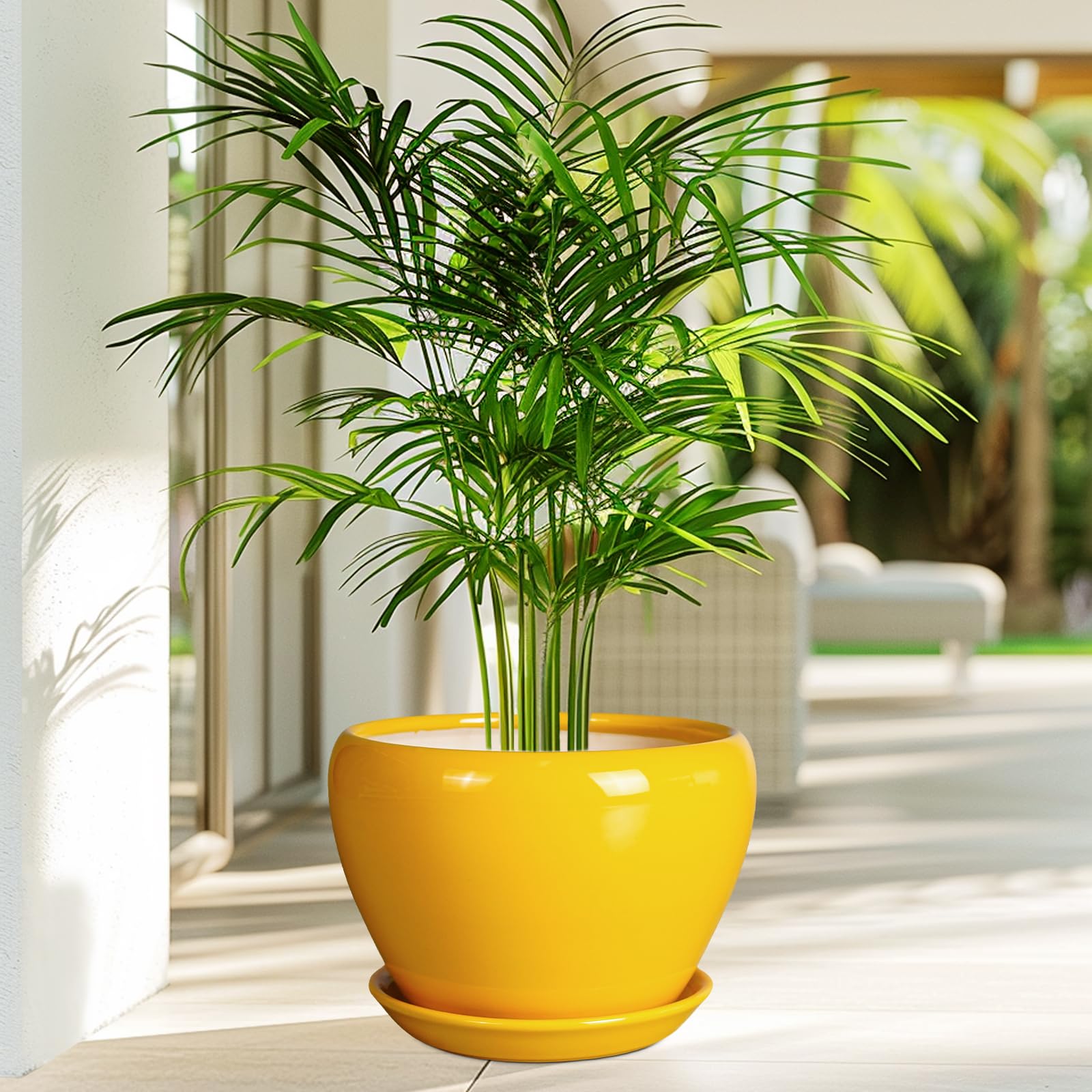 Ceramicfor maceta con planta interior realza la decoración y salud de la planta