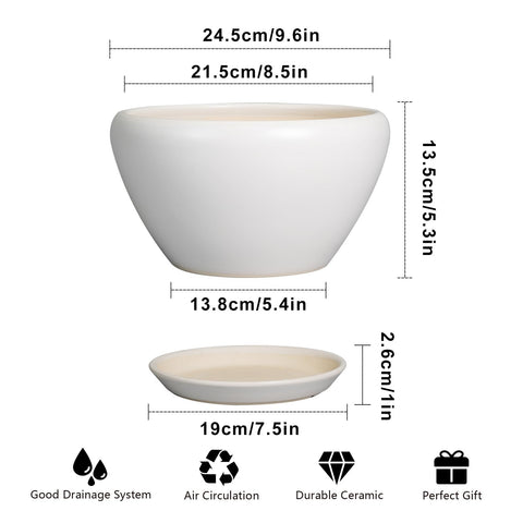 Ceramicfor maceta con planta en salón aportando estilo y verdor decorativo